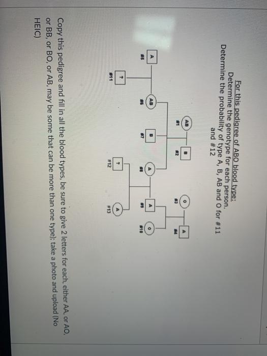 Solved For This Pedigree Of ABO Blood Type: Determine The | Chegg.com