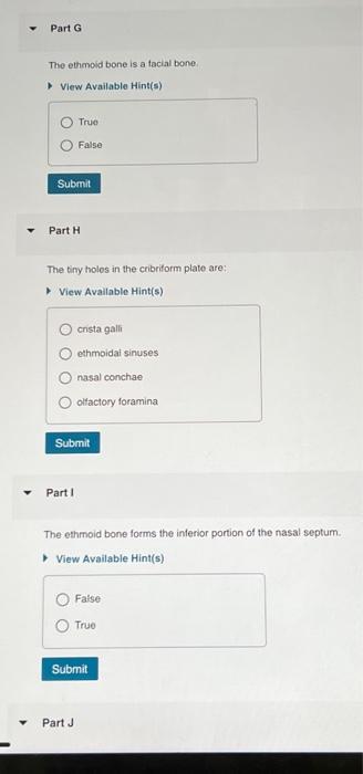 Solved Identity the recessed area surrounding the crista | Chegg.com