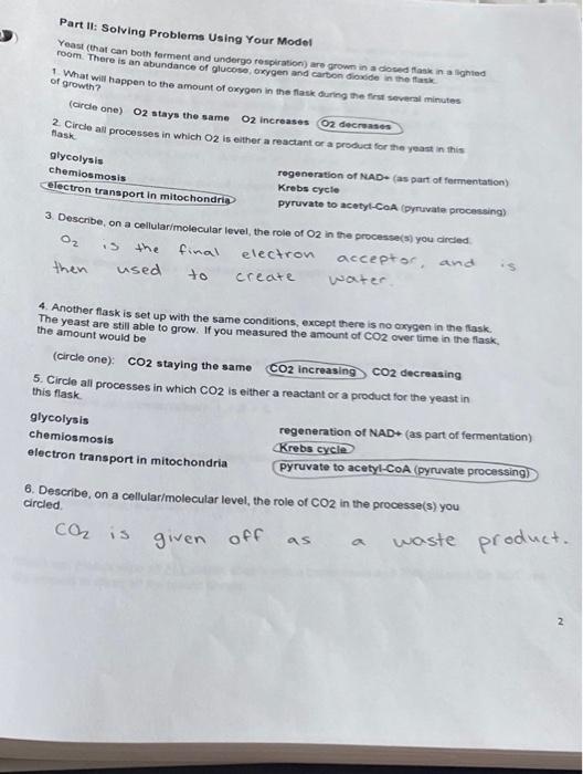 Solved Part II Solving Problems Using Your Model Yeast Chegg