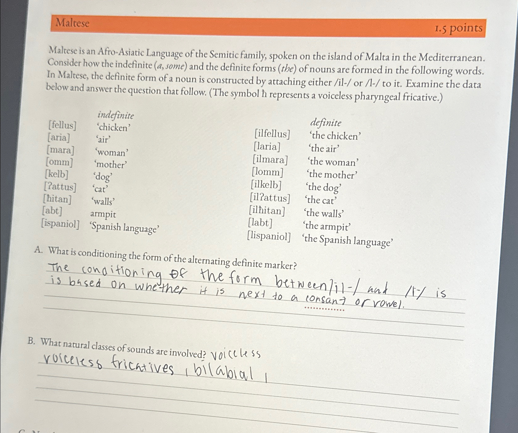 Solved MalteseI. 5 ﻿pointsMaltese is an Afro-Asiatic | Chegg.com