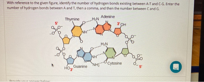 With Reference To The Given Figure Identify The N Chegg Com