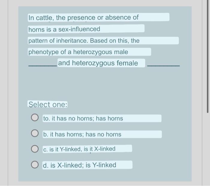 In cattle, the presence or absence of horns is a sex-influenced pattern of inheritance. Based on this, the phenotype of a het