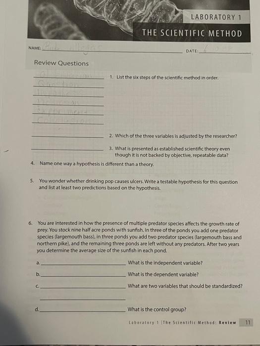 Review Questions 1. List the six steps of the | Chegg.com