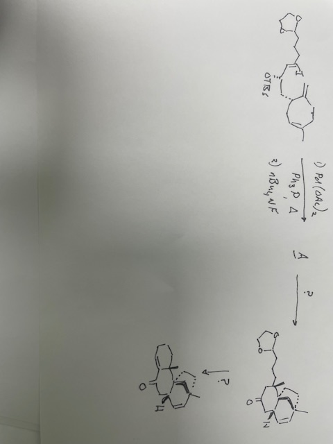 Solved Give structures of the intermediates obtained in each | Chegg.com