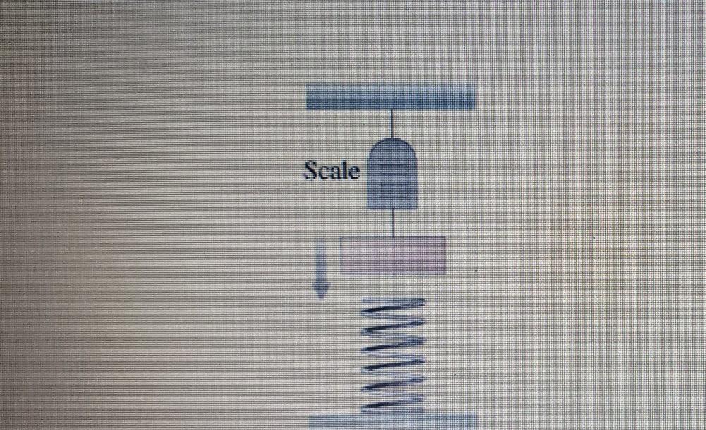 Solved A 8.5 kg mass hanging from a spring scale is slowly