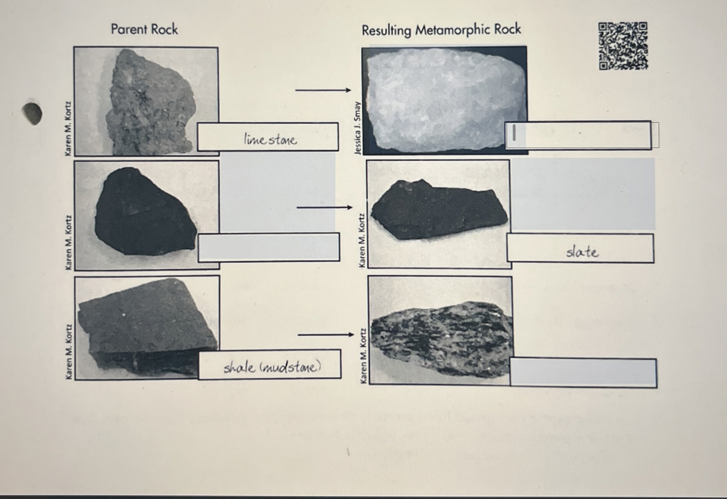Solved Parent RockResulting Metamorphic Rock | Chegg.com