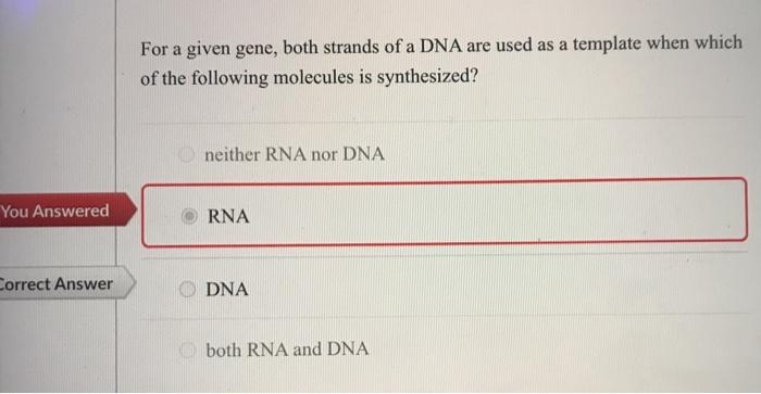 Solved For a given gene, both strands of a DNA are used as a | Chegg.com