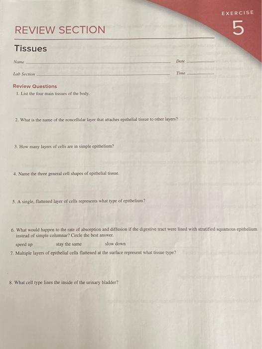 Solved EXERCISE REVIEW SECTION 5 Tissues Name Dune Lab | Chegg.com