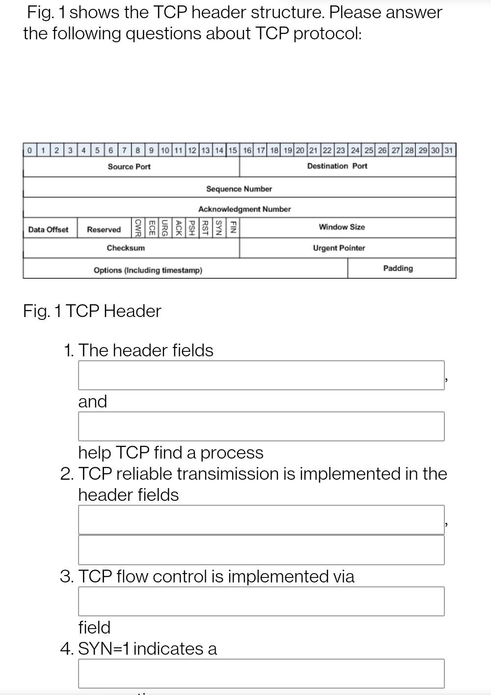 Solved Fig. 1 shows the TCP header structure. Please answer | Chegg.com
