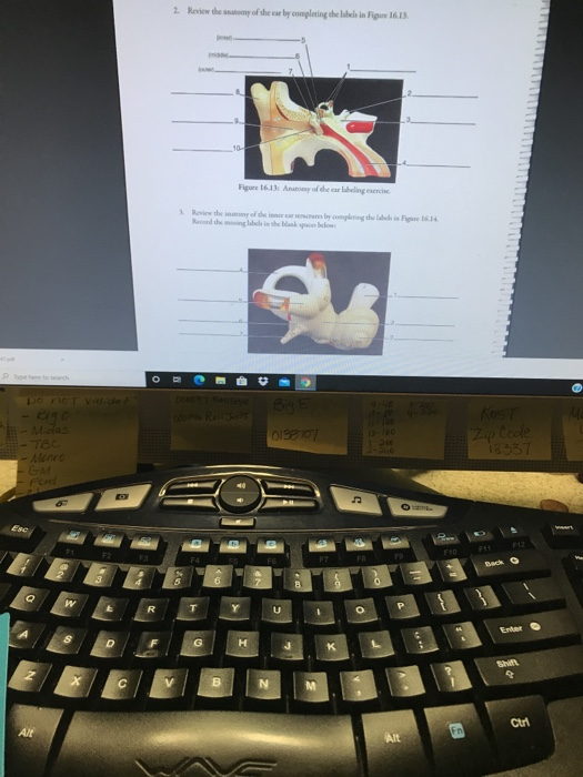 Solved 2 Review The Any Of The Early Completing The Libele Chegg solved-2-review-the-any-of-the-early-completing-the-libele-chegg