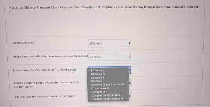Solved Match the Electron Transport Chain Complexes below | Chegg.com