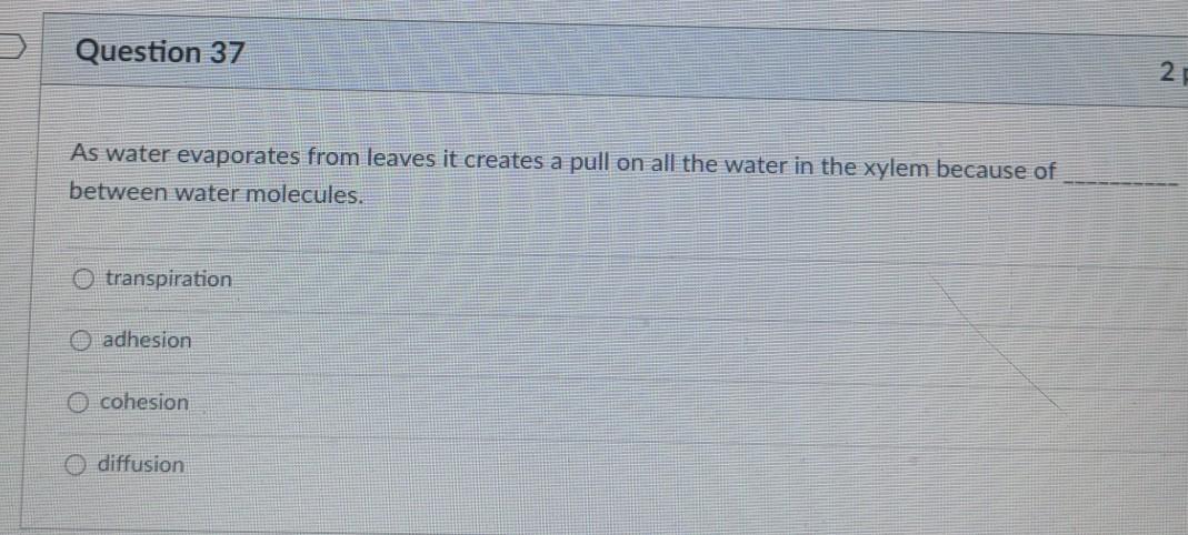 Solved Question 37 2. As water evaporates from leaves it | Chegg.com