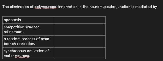 Solved The elimination of polyneuronal innervation in the | Chegg.com