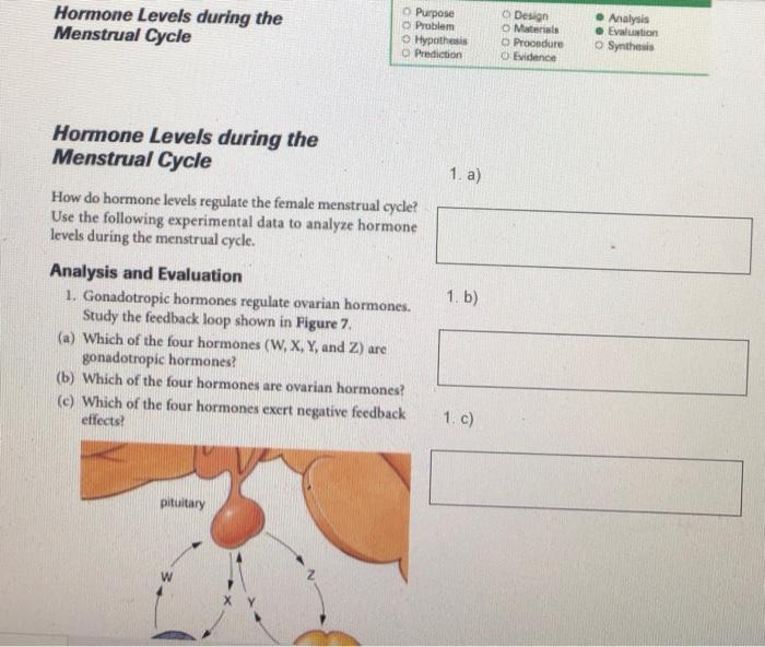 case study hormone levels during the menstrual cycle answers