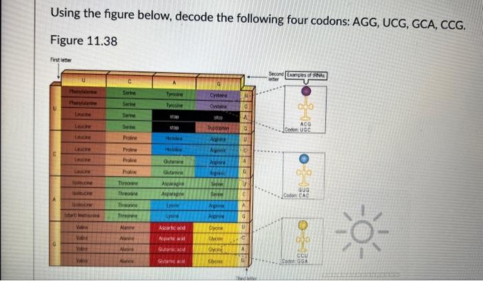 Solved Using the figure below, decode the following four | Chegg.com