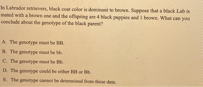 Solved In Labrador Retrievers, Black Coat Color Is Dominant | Chegg.com