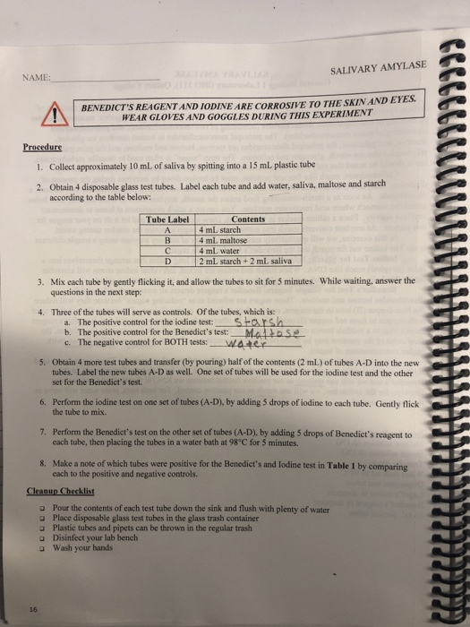 Solved SALIVARY AMYLASE NAME: BENEDICT'S REAGENT AND IODINE | Chegg.com