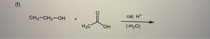 Solved CH3-CH2-OH + cat. H+ H3COH (H20) | Chegg.com