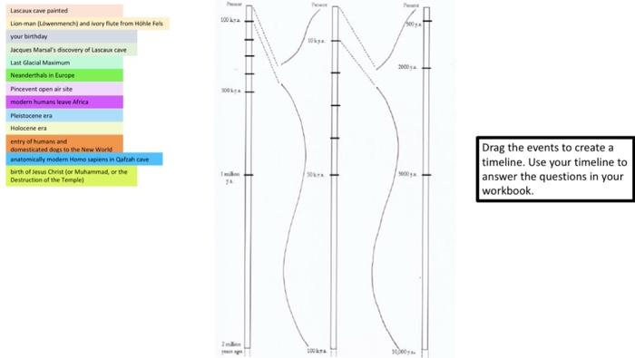 Drag the events to create a timeline. Use your | Chegg.com