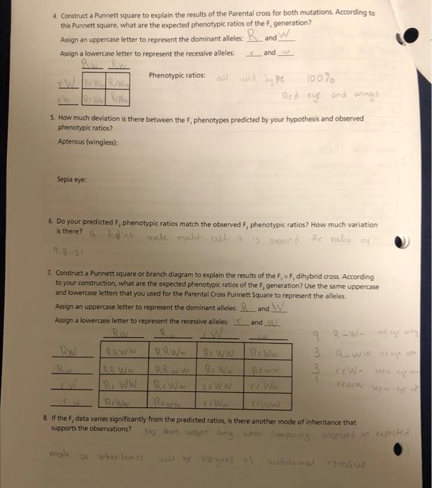 Easy Flytm Monohybrid Cross Kit Analysis Of Results Chegg Com