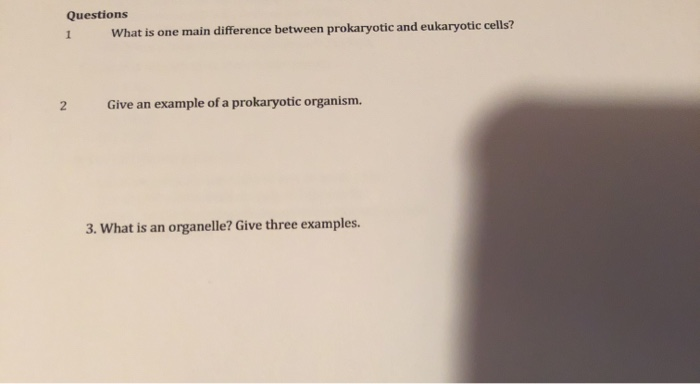 Solved Questions 1 What is one main difference between | Chegg.com