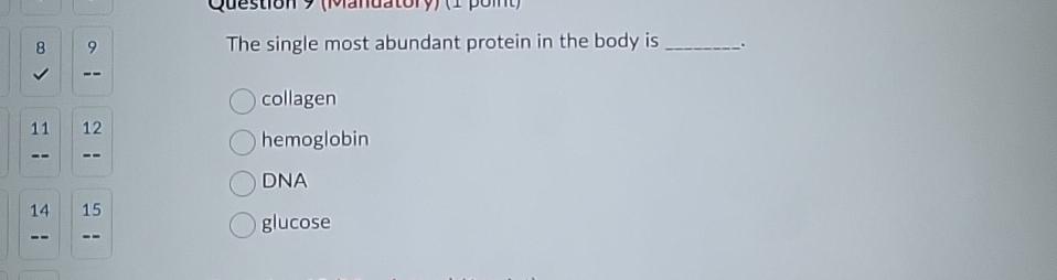 The Single Most Abundant Protein In The Body Is