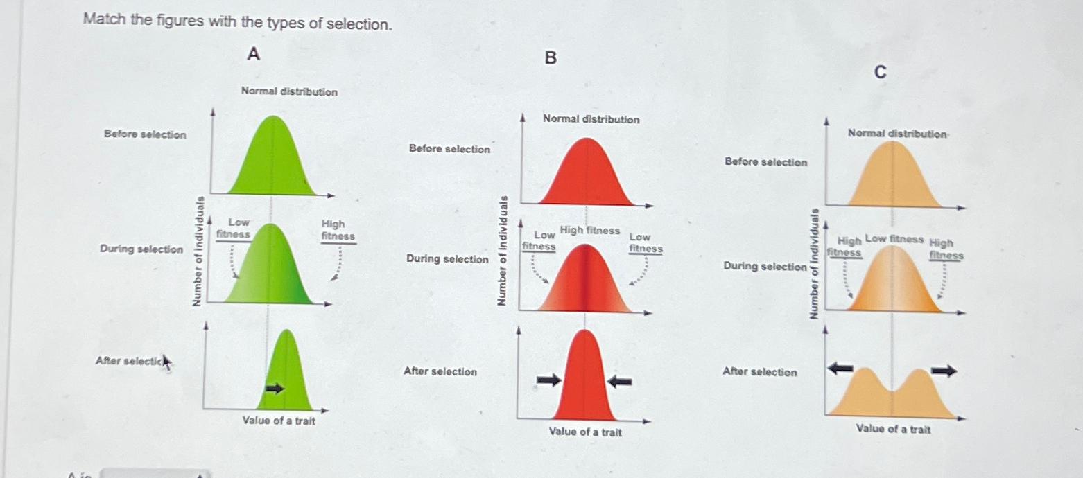 Solved Match the figures with the types of selection.ABC | Chegg.com