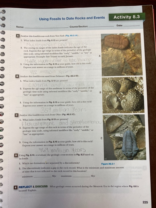 Using Fossils To Date Rocks And Events Activity 8.3 | Chegg.com