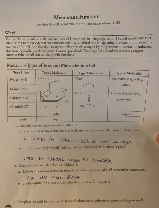 Solved Membrane Function How does the cell membrane control | Chegg.com