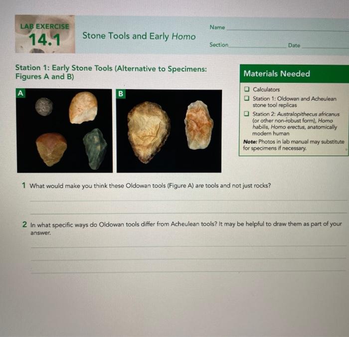 Solved LAB EXERCISE Name 14.1 Stone Tools and Early Homo | Chegg.com