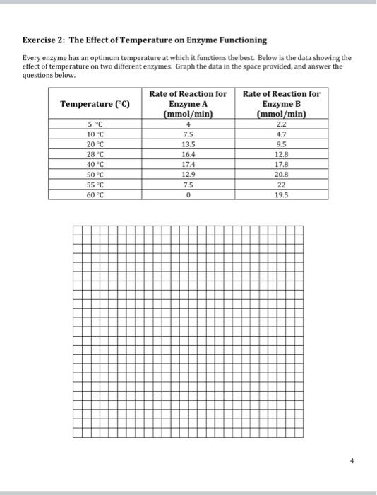 enzymes graphing critical thinking and calculating reaction rates worksheet answers