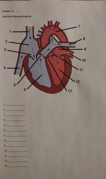 Solved Chapter 11Label the following diagram. | Chegg.com