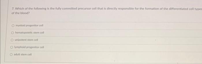 7. Which of the following is the fully committed precursor cell that is directly responsible for the formation of the differe