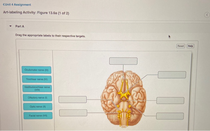 Solved Question | Chegg.com