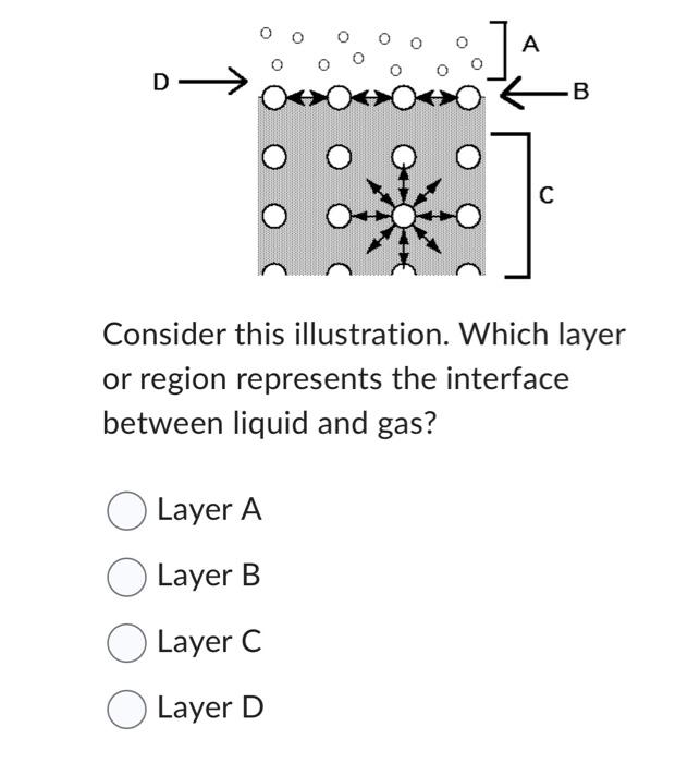 Consider this illustration. Which layer or region
