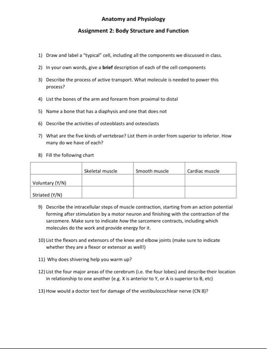 Solved Anatomy and Physiology Assignment 2: Body Structure | Chegg.com