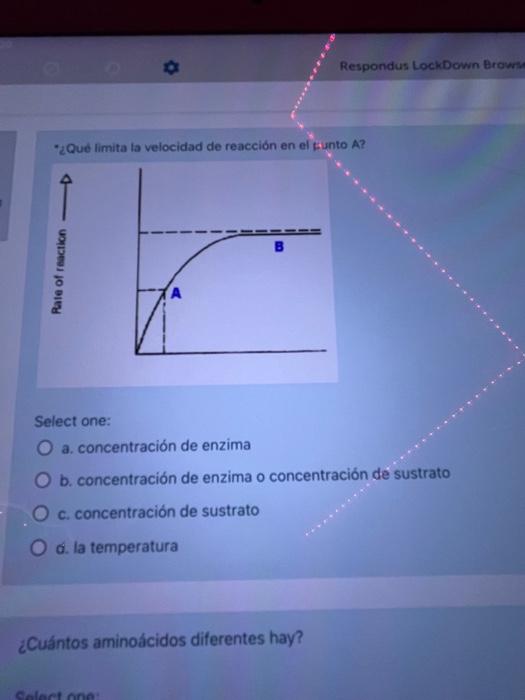 ¿Que limita la velocidad de reacción en el funto A? \( \prod_{5}^{4} \) \( \frac{8}{y} \) \( \frac{8}{5} \) \( \frac{5}{3} \