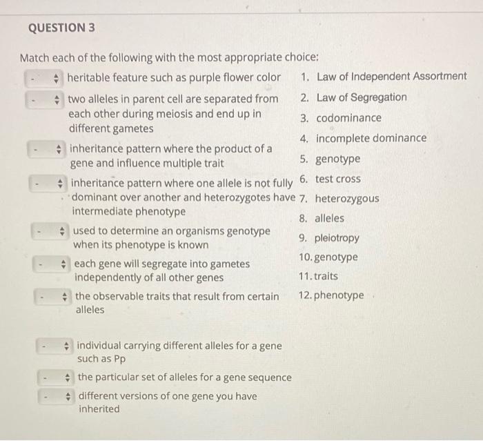 Solved QUESTION 3 Match each of the following with the most | Chegg.com