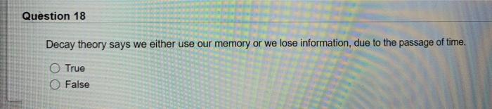 Infantile amnesia essay 08 picture