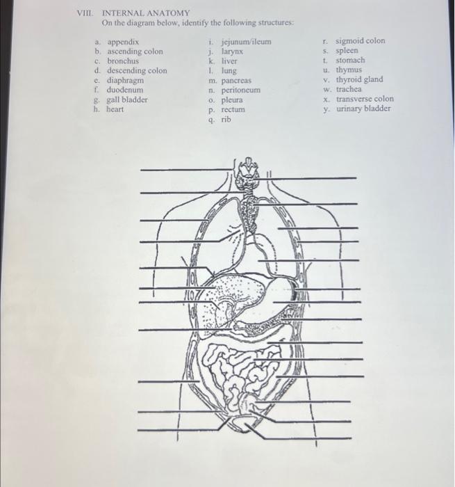 student submitted image, transcription available below