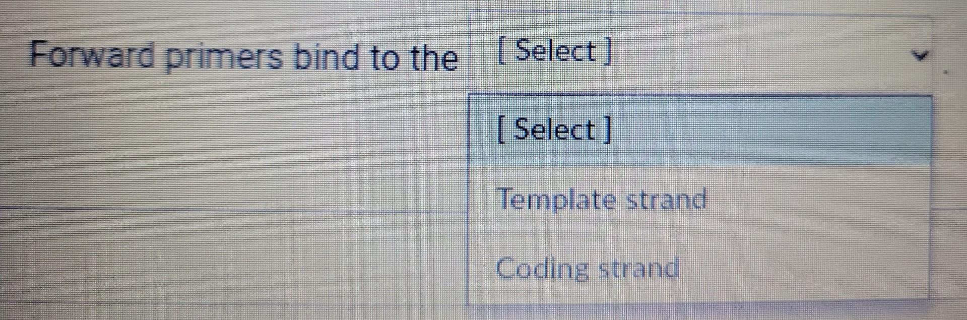 Solved Forward primers bind to the