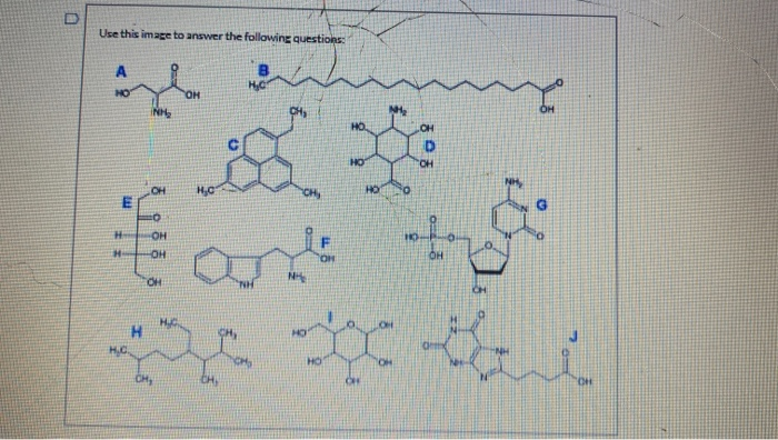 Solved D Question 29 4 pts Select all of the molecules in | Chegg.com