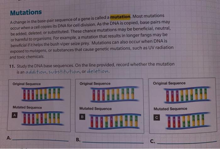 Solved Mutations A change in the base-pair sequence of a | Chegg.com