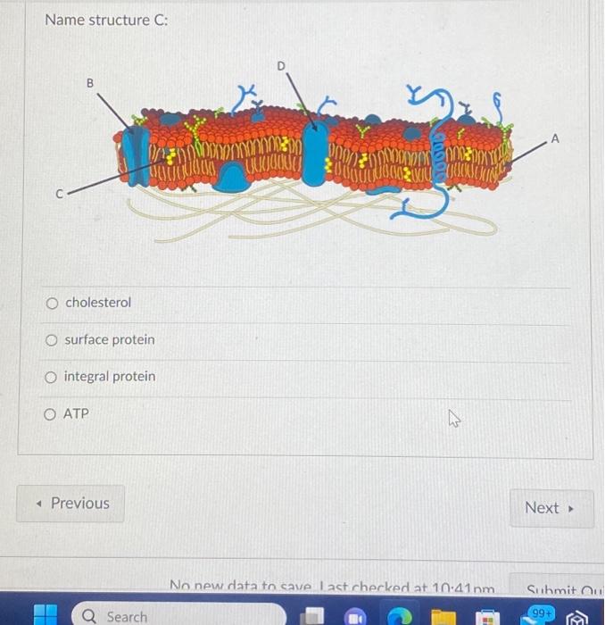 Name structure C: B O cholesterol O surface protein | Chegg.com