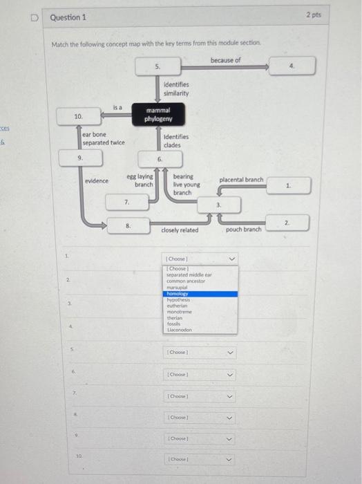 Solved D Question 1 2 pts Match the following concept map | Chegg.com