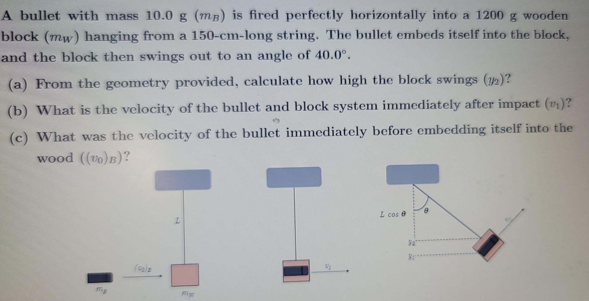 Solved A Bullet With Mass 10.0 G(mB) Is Fired Perfectly | Chegg.com