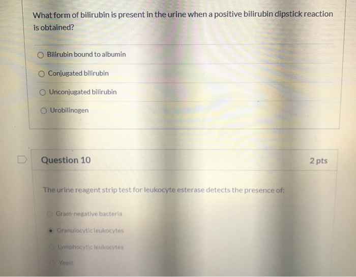 solved-what-form-of-bilirubin-is-present-in-the-urine-when-a-chegg