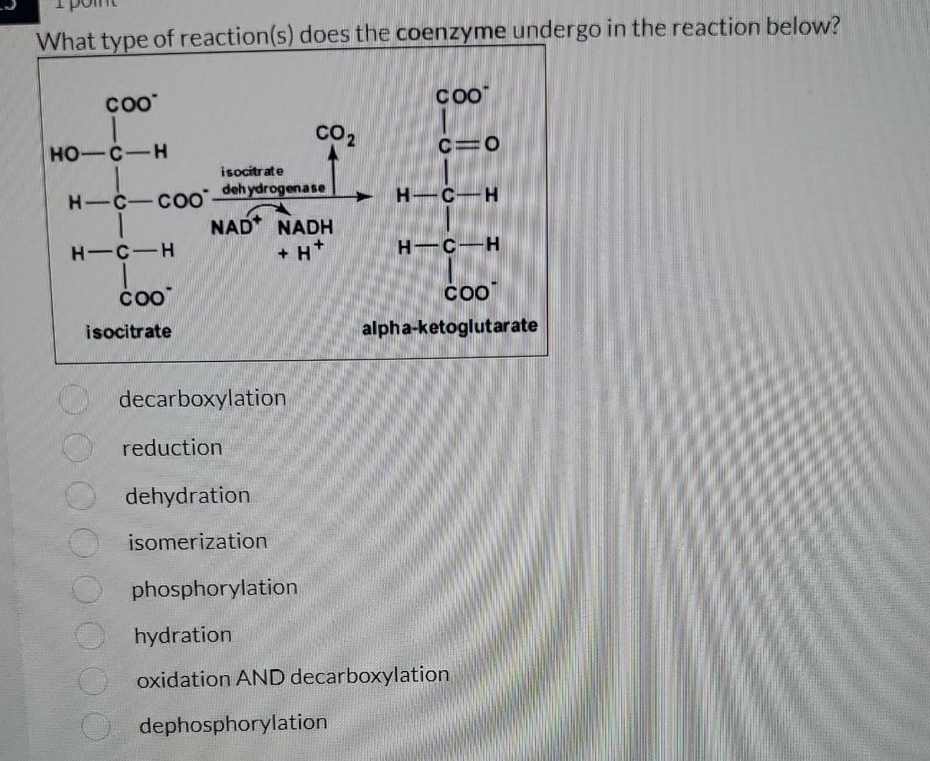 Solved What Type Of Reaction s Does The Coenzyme Undergo In Chegg solved-what-type-of-reaction-s-does-the-coenzyme-undergo-in-chegg