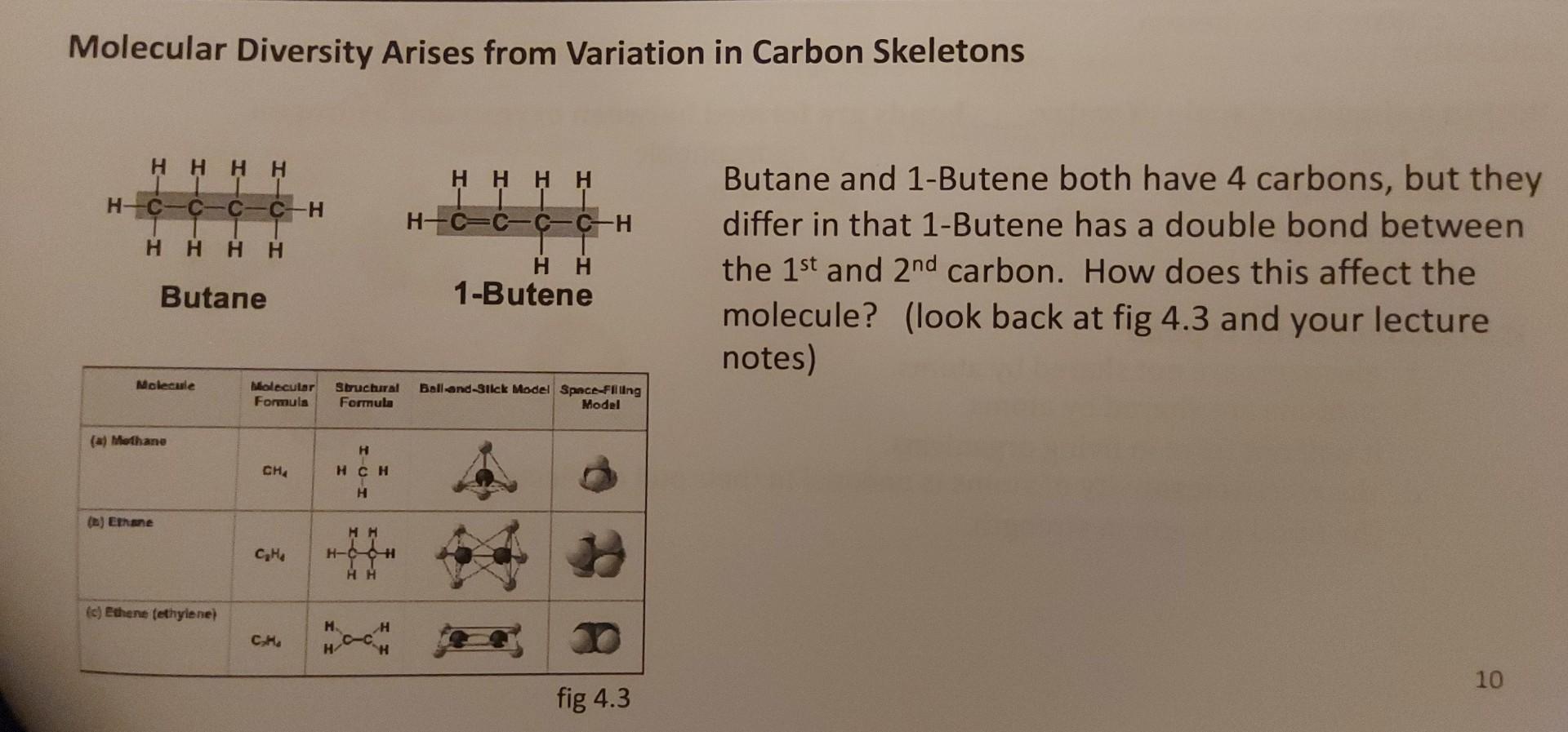 Solved Ch 4: Carbon and the molecular diversity of life | Chegg.com