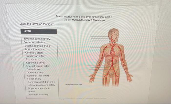 student submitted image, transcription available below